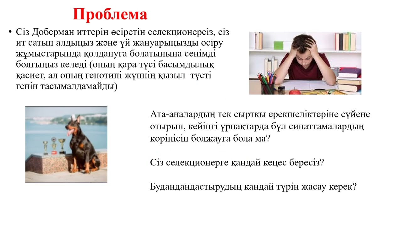 9_класс_3_токсан_Талдаушы будандастыру