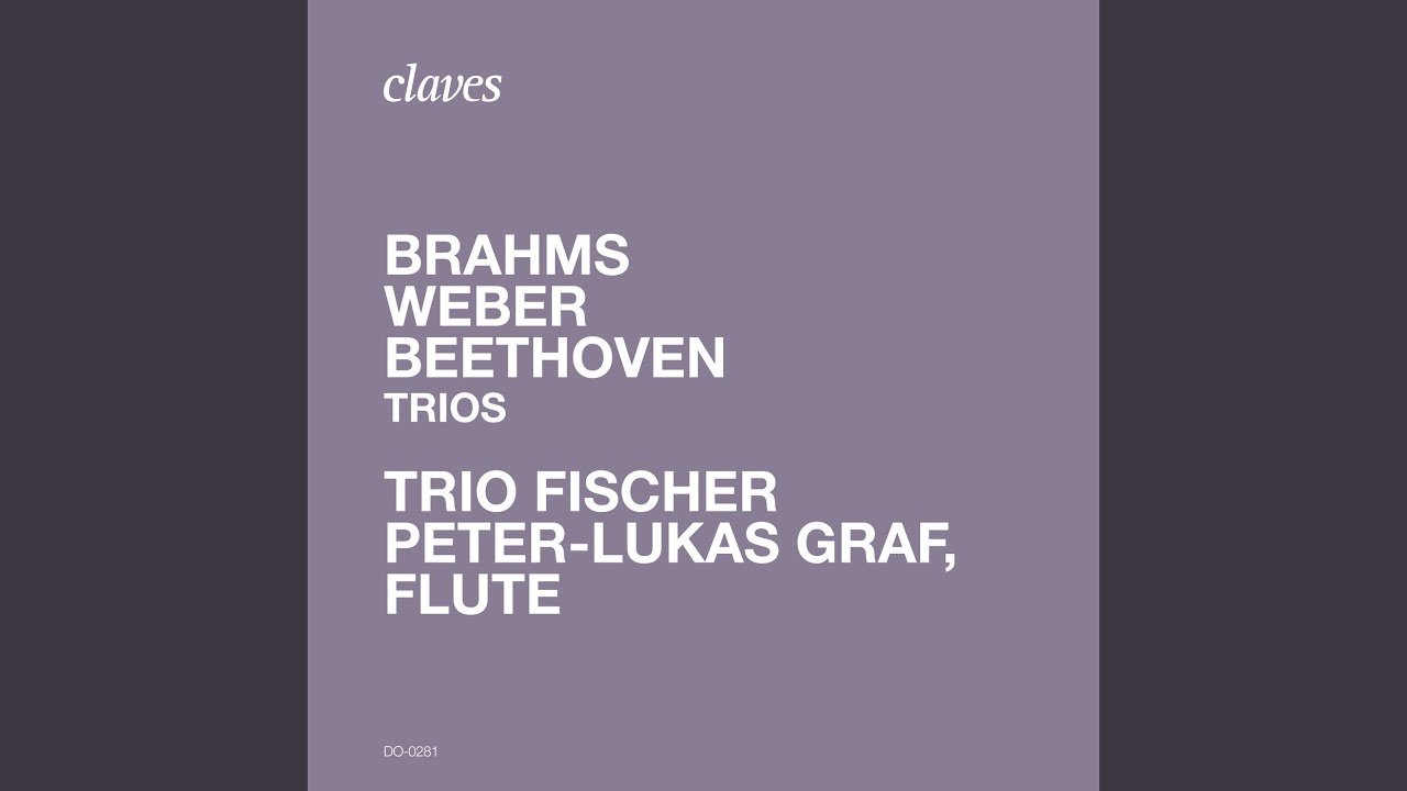 Trio in G Minor, Op. 63, J. 259: IV. Allegro