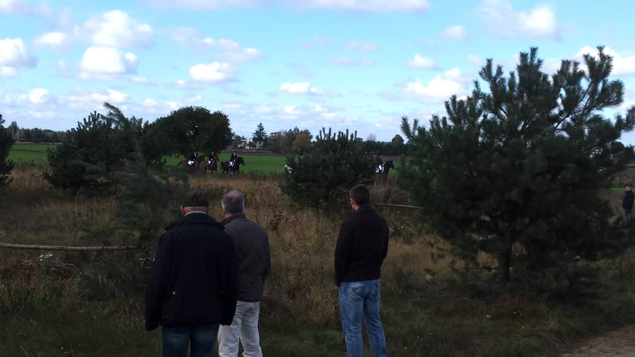 Hubertus 2011 Stado Ogier&oacute;w w Gnieźnie cz.1 HD
