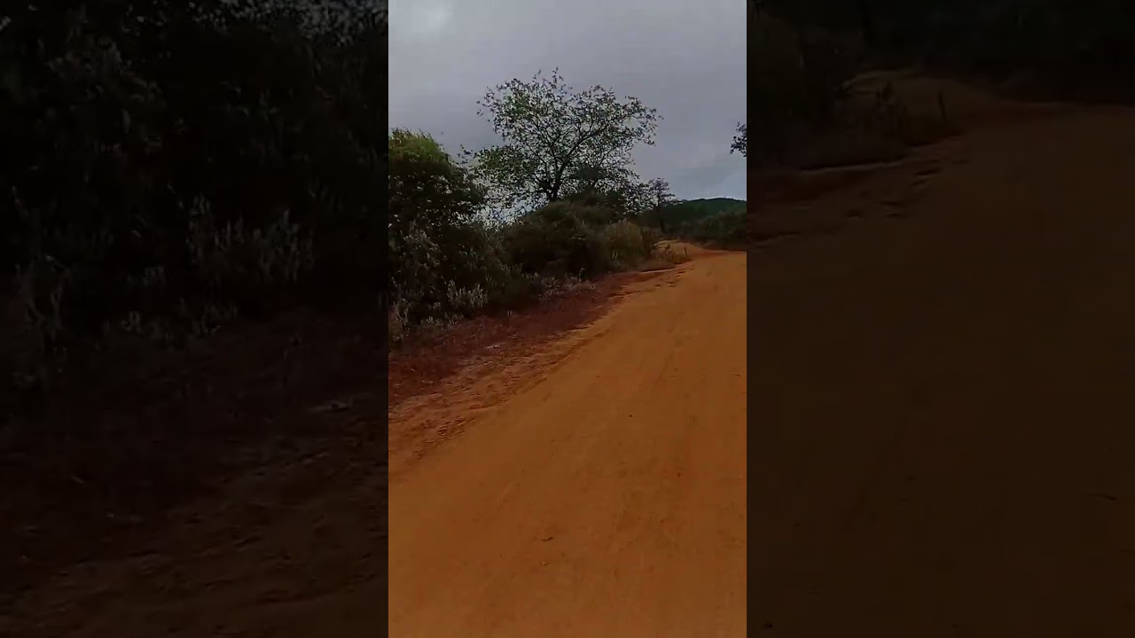 Fui atacado por cachorros 🐕 nesse vlog de moto