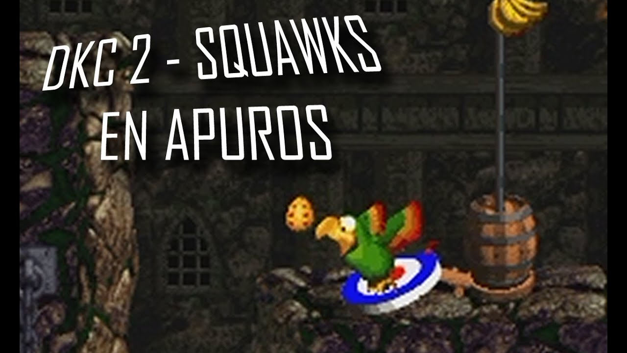Donkey Kong Country 2 - Squawks en apuros (Bug)