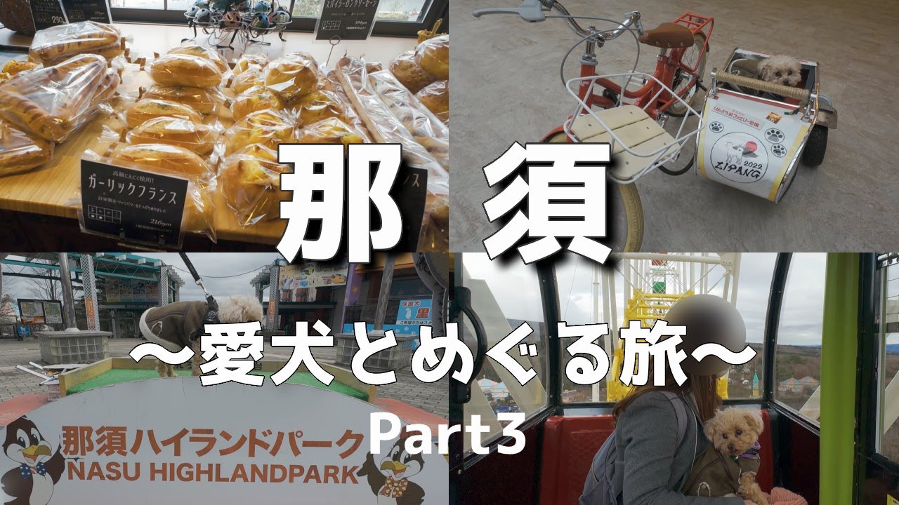 【旅行】愛犬と初めての旅行に行きました～Part3 那須～