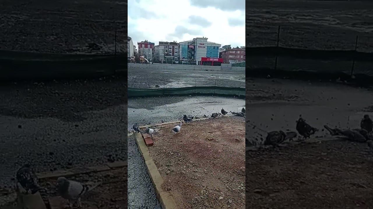 14 Ocak 2026