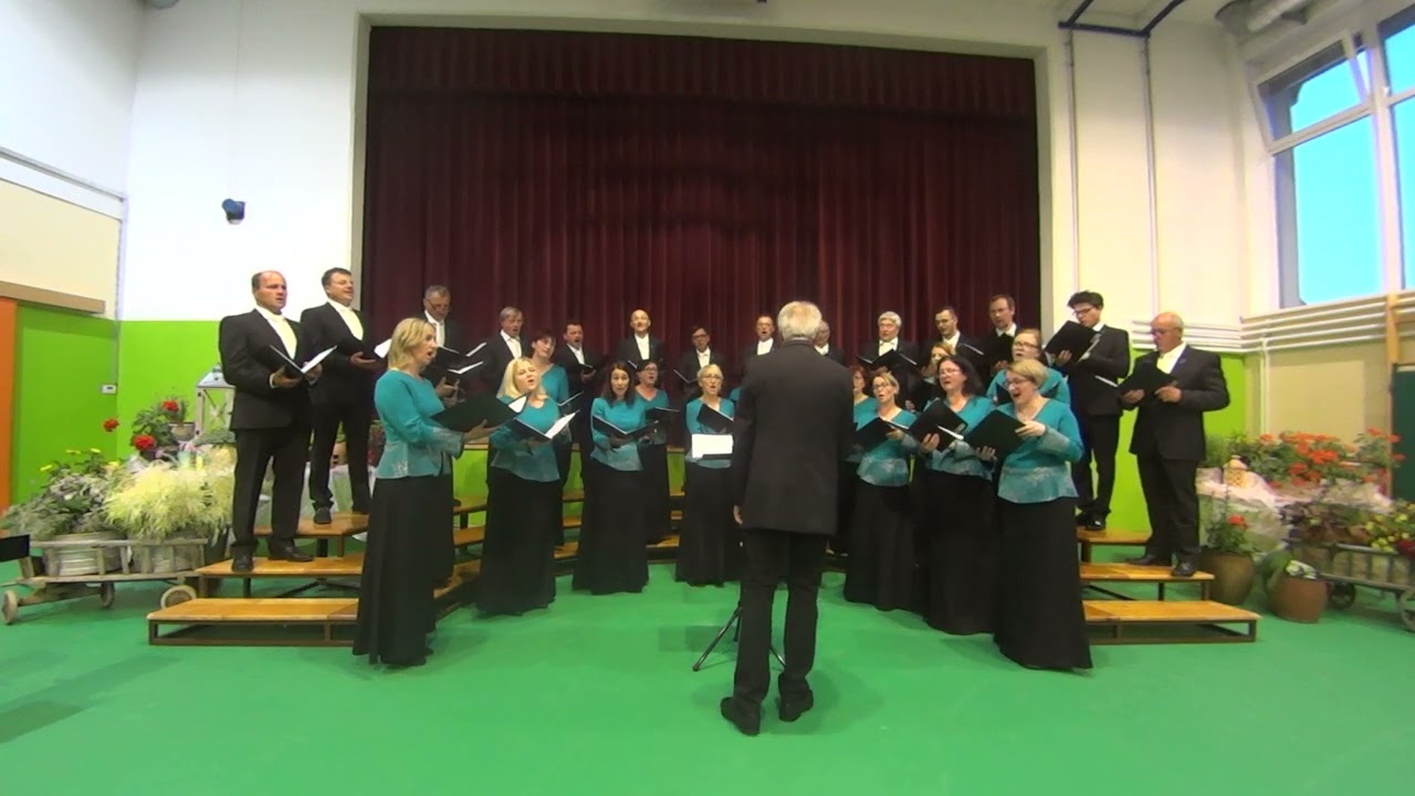 TA DRUMELCA JE ZVOMLANA (koroška ljudska), prir. Lojze Lebič: