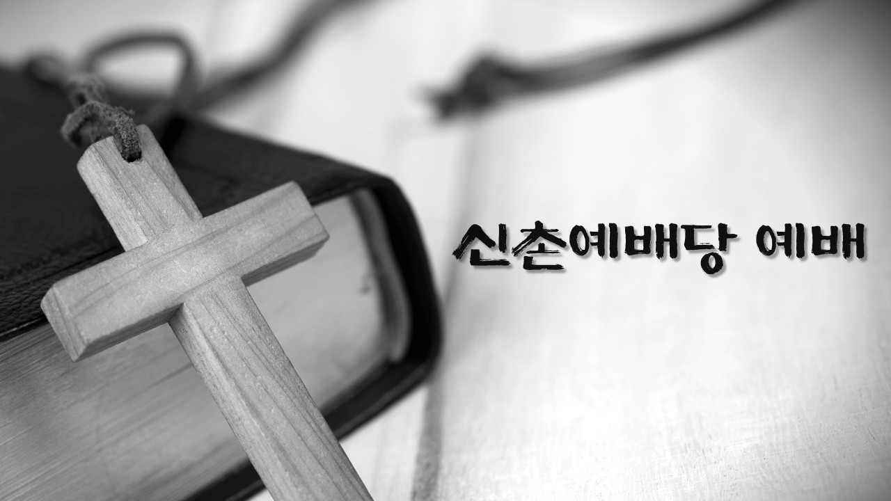신촌예배당 2026.02.16사경회1일차오후예배(엡4:11-16)