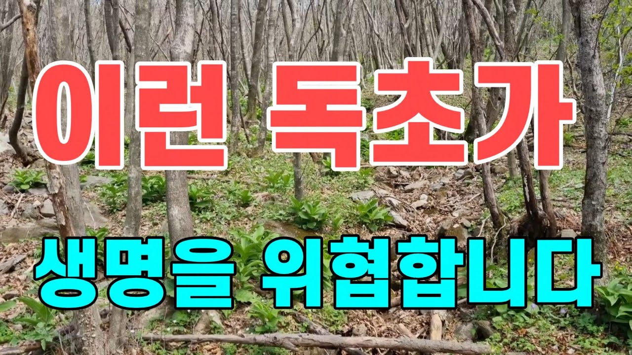 이런 독초가 생명을 위협합니다