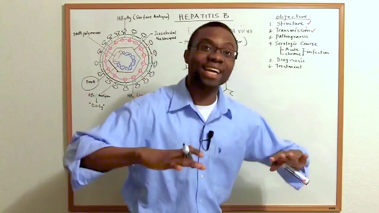 Hepatitis B Infections  Pathophysiology Made Simple