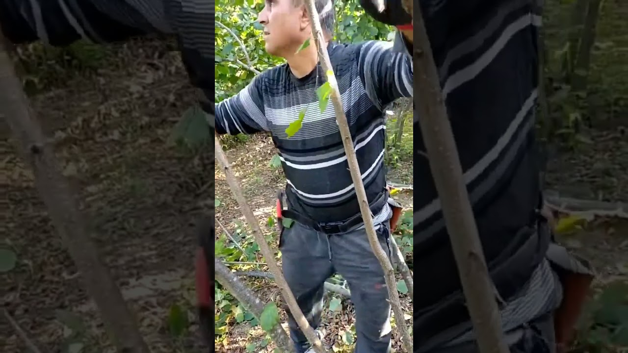teknik budama Eğitmeni Özarslan ziraat