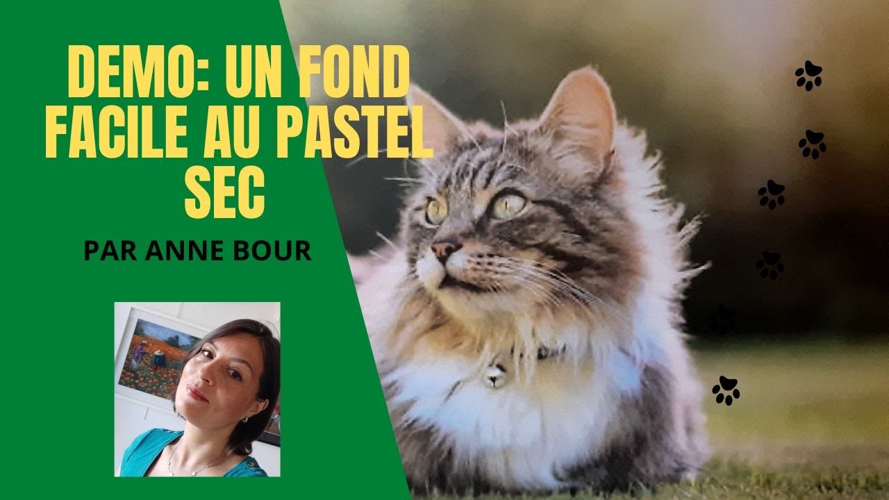 Comment réussir un fond facilement au pastel sec,