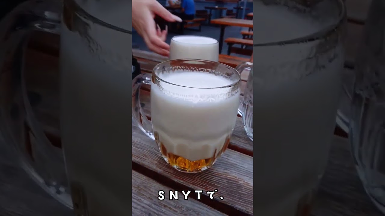 Best beer in my town🍺街で1番美味しいビールのお店😁Teplice in Czech Republic