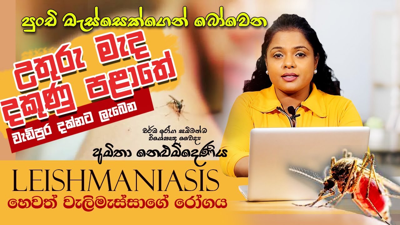 උතුරු මැද දකුණේ වැඩිපුර තියන මොකක්ද මේ  Leishmaniasis | Skin Specialist