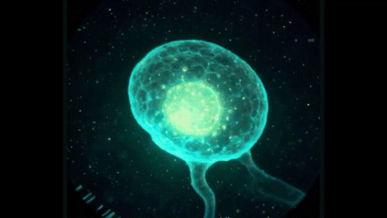 FRAGMENT_LOGS : LOG_08 // Biological Equilibrium [Ambient / Psybient 432Hz]