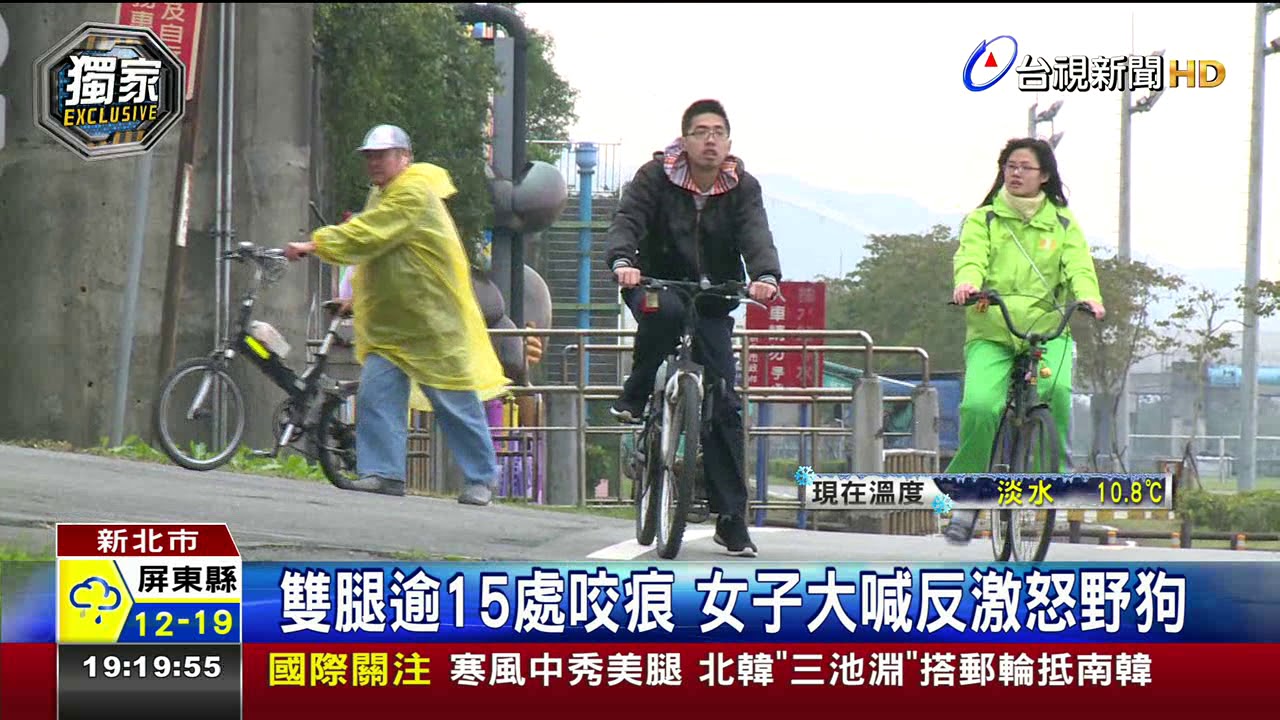 嚇!河濱公園路跑驚魂遭10野狗圍攻