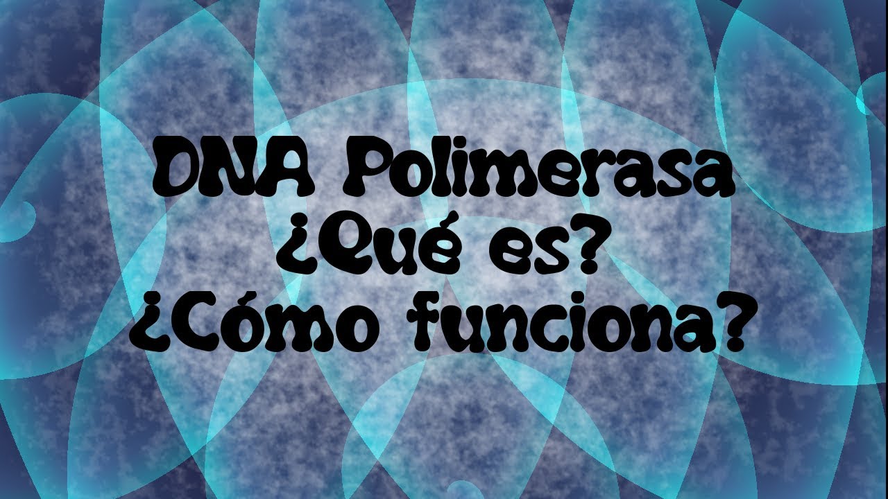 DNA polimerasa &iquest;Qu&eacute; es? &iquest;C&oacute;mo funciona?