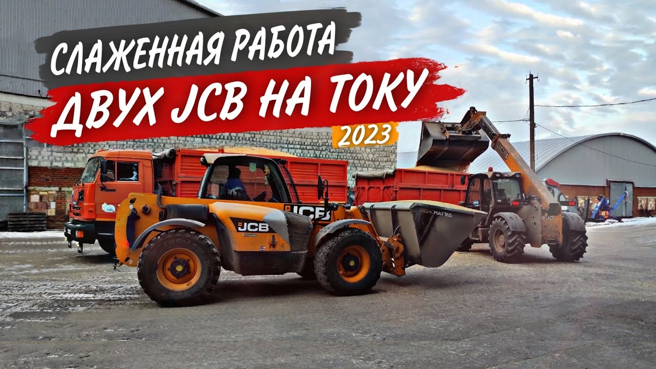 Зимнее мучение с уборкой КУКУРУЗЫ продолжается. 