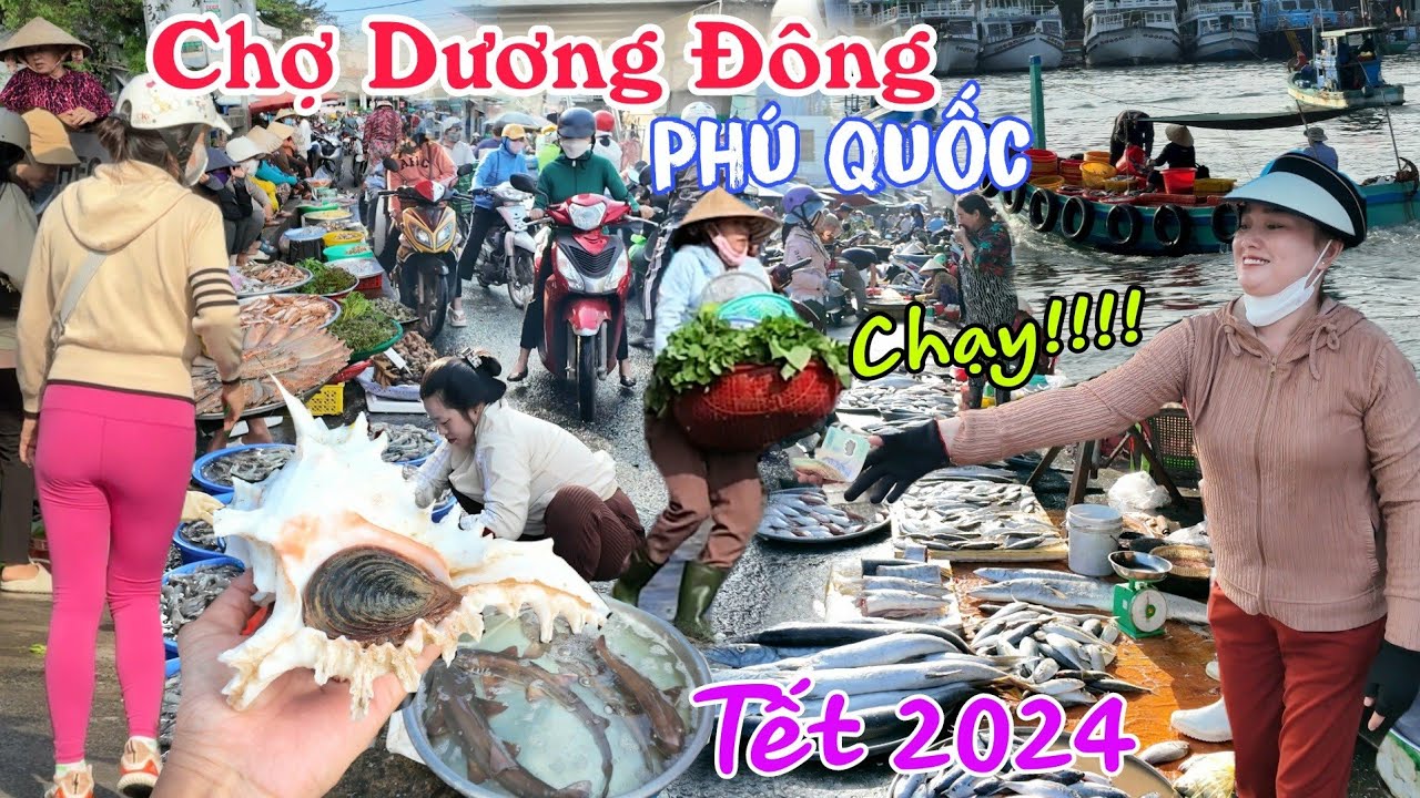 Tết Phú Quốc 2024: Khám phá chợ Hải Sản Dương Đông - Chợ lớn nhất Phú Quốc