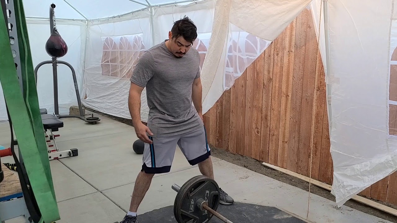 Landmine sumo squat