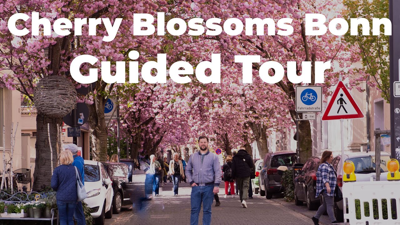 Bonn Cherry Blossom Special