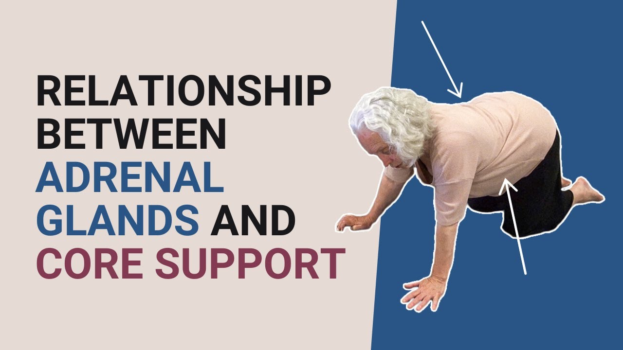 Relationship between Adrenal Glands and Core Support