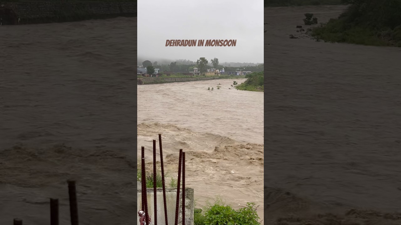 #dehradun #flood #naturesounds #disaster #uttarakhand #dailyvlog #dailyshorts