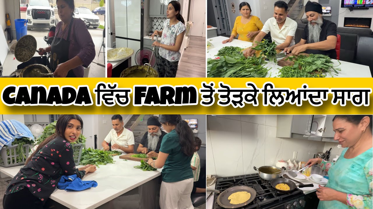 ਐਨਾ ਸਾਗ ਬਣਾ ਕੇ ਵੀ Pizza ਖਾਣਾ ਪਿਆ😅ਖੇਤ ਵਾਲਾ ਸਾਗ🤩ਪੱਖੇ ਲਾ ਸਾਗ ਠੰਡਾਂ ਕੀਤਾ😂Harman Beauty 