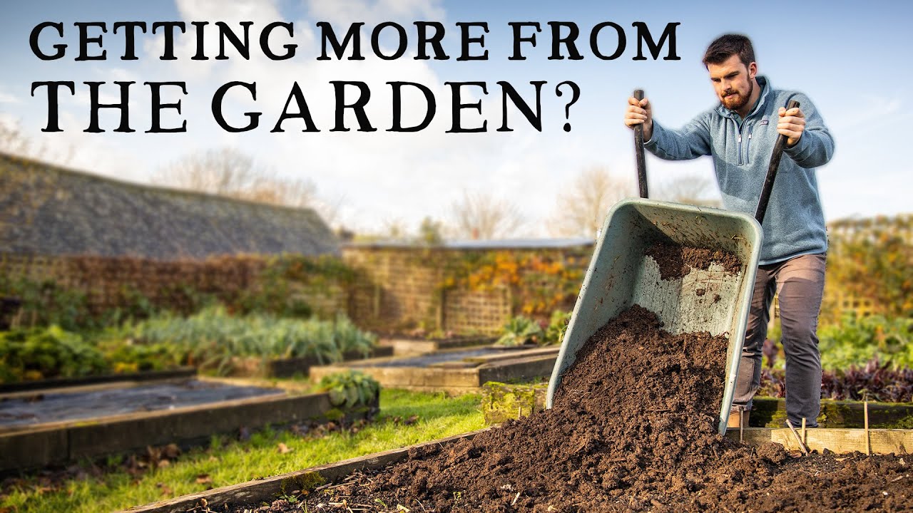 Why I'm Moving Beyond No Dig Vegetable Gardening