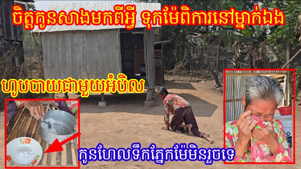 15.2.2026 ចិត្តកូនសាងមកពីអ្វី ទុកម៉ែចោលទាំងពិការហូបបាយជាមួយអំបិល រស់យ៉ាងវេទនា