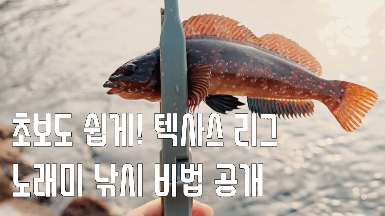 초보도 쉽게! 텍사스 리그 노래미 낚시 비법 공개