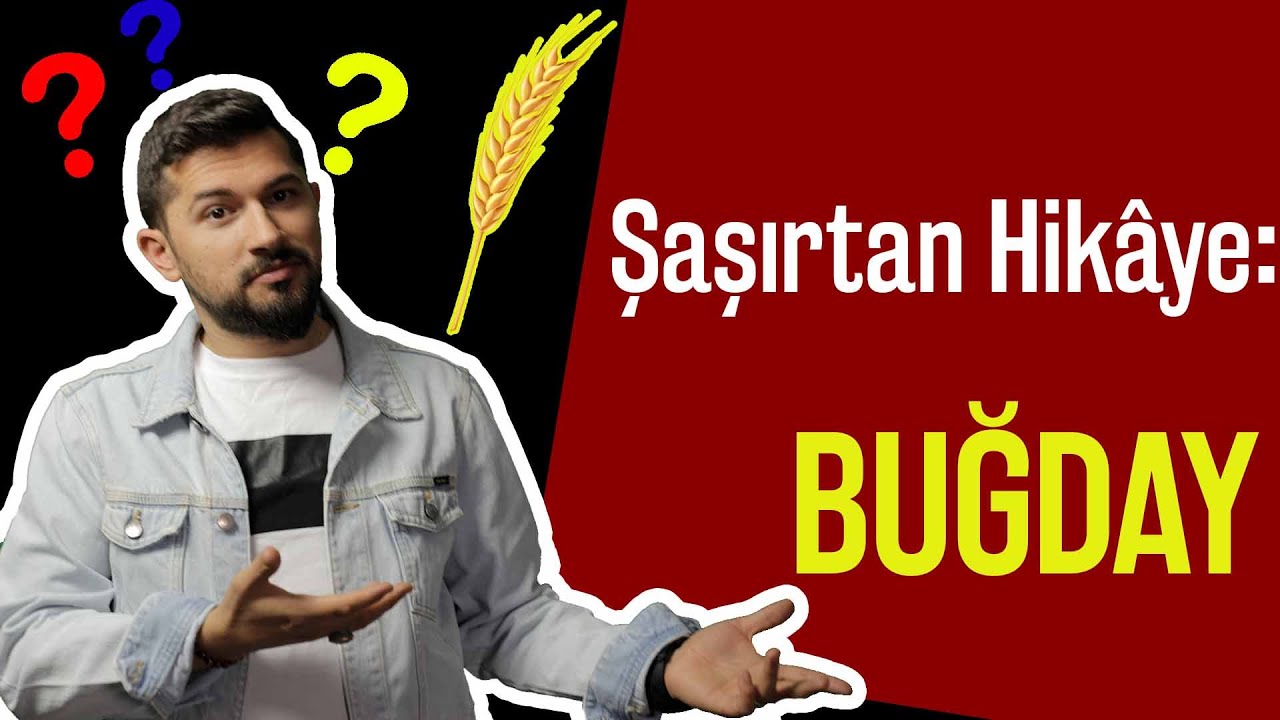 Şaşırtan Hikâye: BUĞDAY !