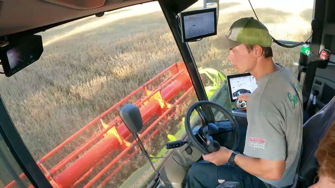 Claas Lexion 6800 og Fendt 936 Høster Havre 🌾 | KLF Dansk Landbrug