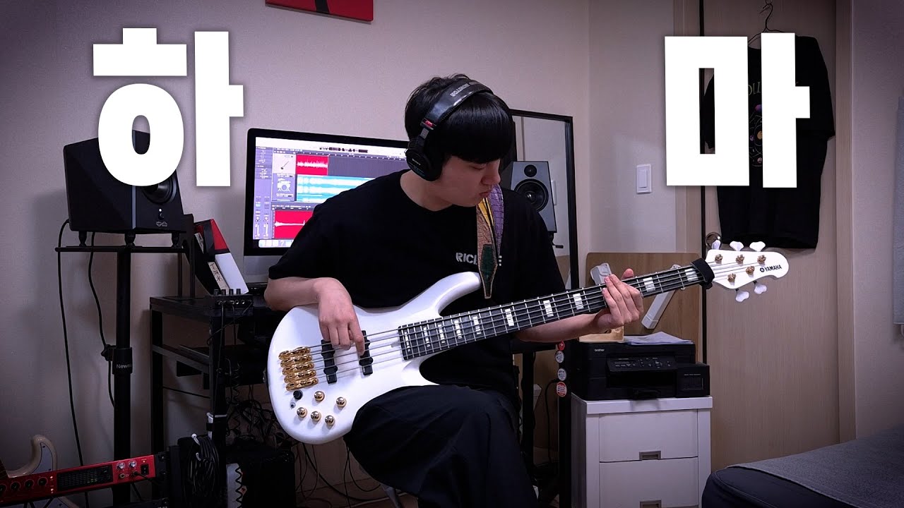 LUCY(루시) - 하마 (Bass cover)