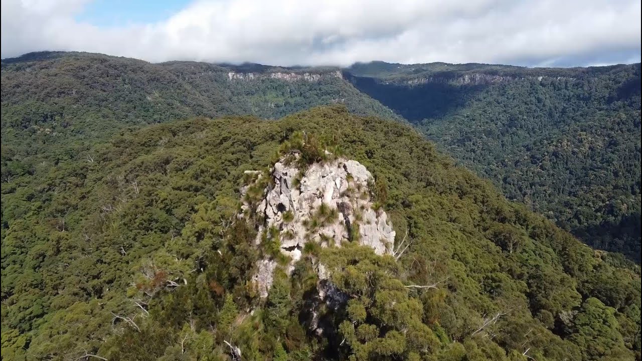 Warrie Circuit and Pinnacle Hike - Springbrook QLD