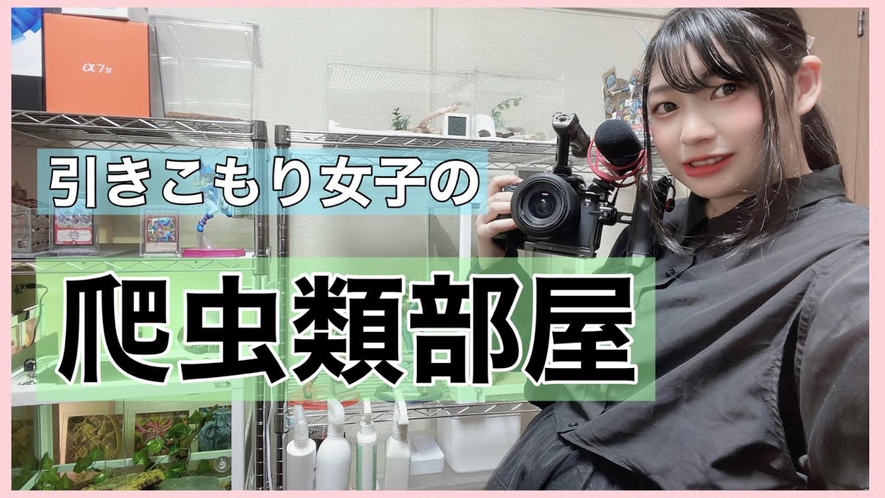 【お部屋紹介】引きこもり女子の爬虫類部屋紹介【ペットルームツアー】