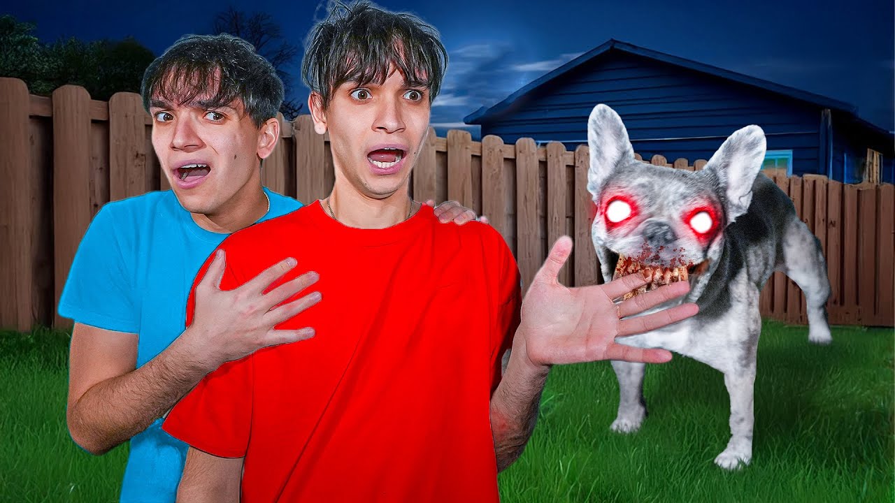 MY POSSESSED DOG BIT MY TWIN BROTHER!