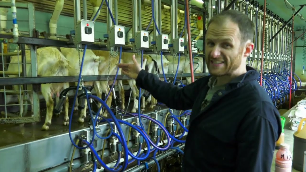 View Our Milking Parlor