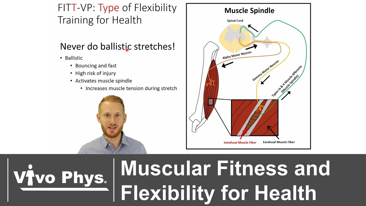 Exercise Testing and Prescription for Health Oriented Muscular Fitness and Flexibility