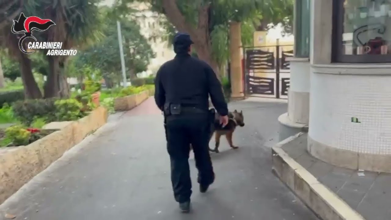 Carabinieri controlli antidroga con unita cinofile