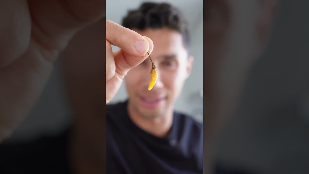 #encurtidodeajies #buenazo #rodrigofernandini #receta #aji #encurtido