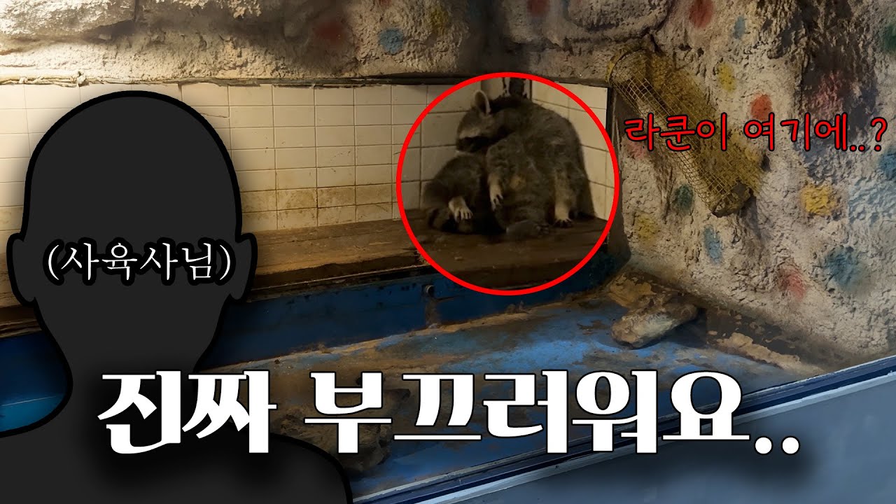 사육사님도 부끄럽다고 하신.._고양 실내 동물원
