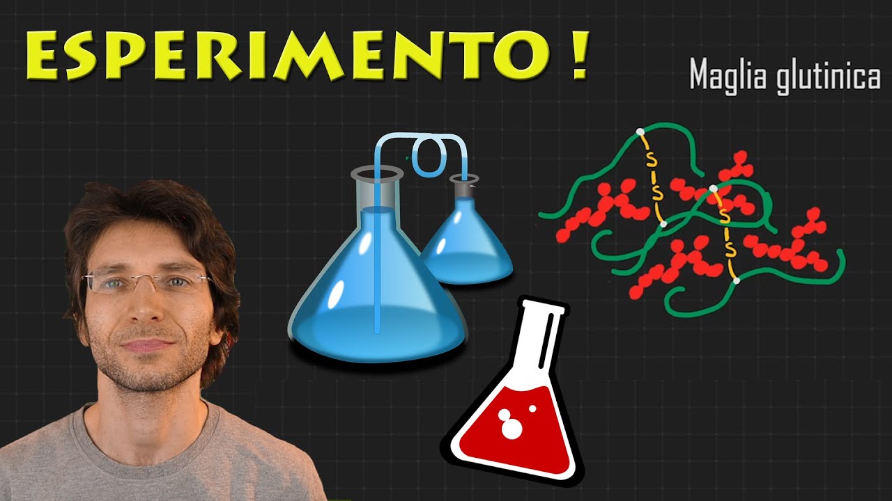 Estraggo la MAGLIA GLUTINICA dall'impasto per PIZZA | scienza in cucina