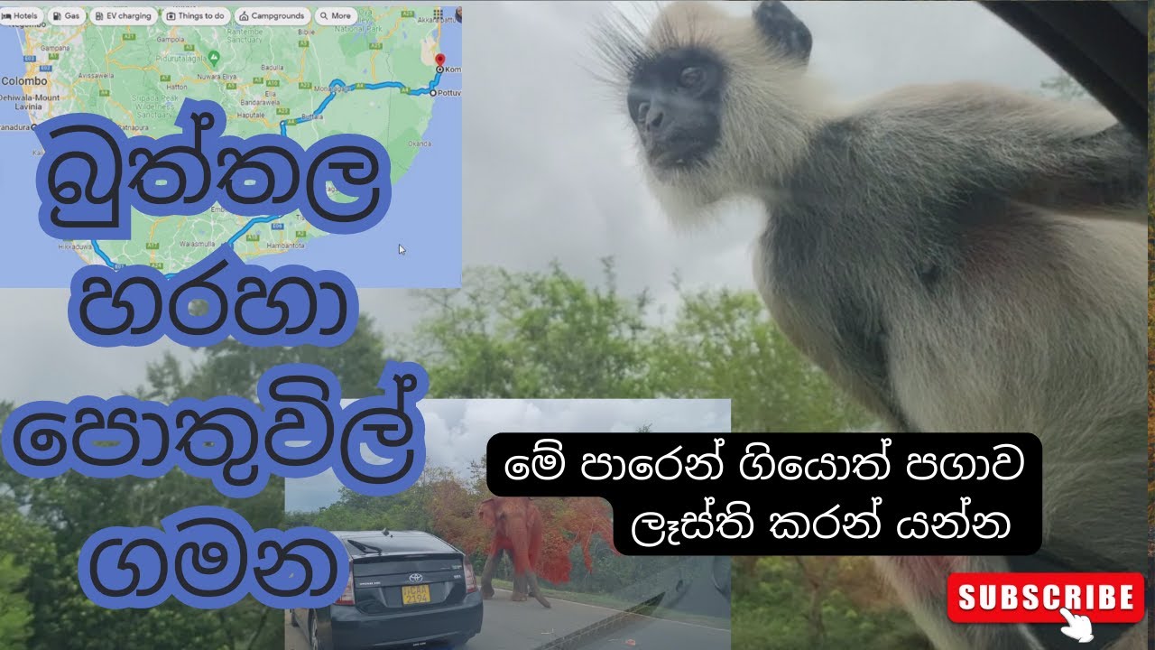 Road Trip to Pottuvil - Taking the most scenic route to #pottuvil #beautifulsrilanka #treanding