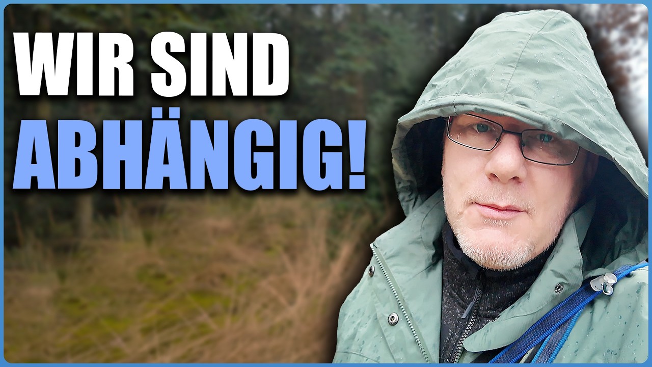 (Schlechtes) Wetter als Risikofaktor - Realitätscheck als Hundetrainer