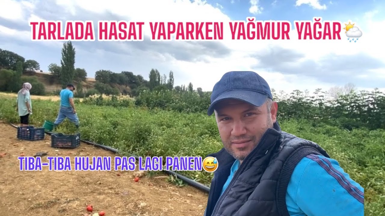 #vlog DOMATES, BIBER, PATLICAN VE DAHA FAZLASINI TOPLAMA ZAMANIMIZ GELDİK || PANEN BESAR-BESARAN ❗️