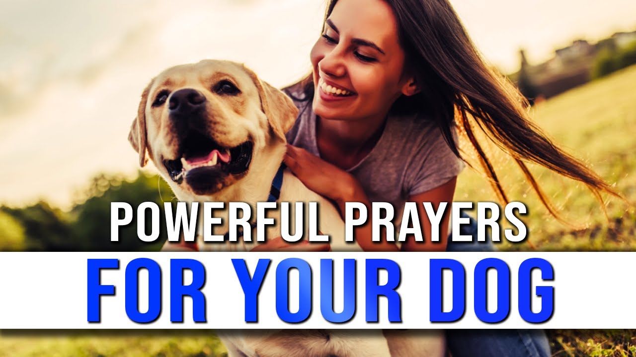 Powerful Prayers For Dogs | Prayer For Healing For My Dog | Prayer For My Dog
