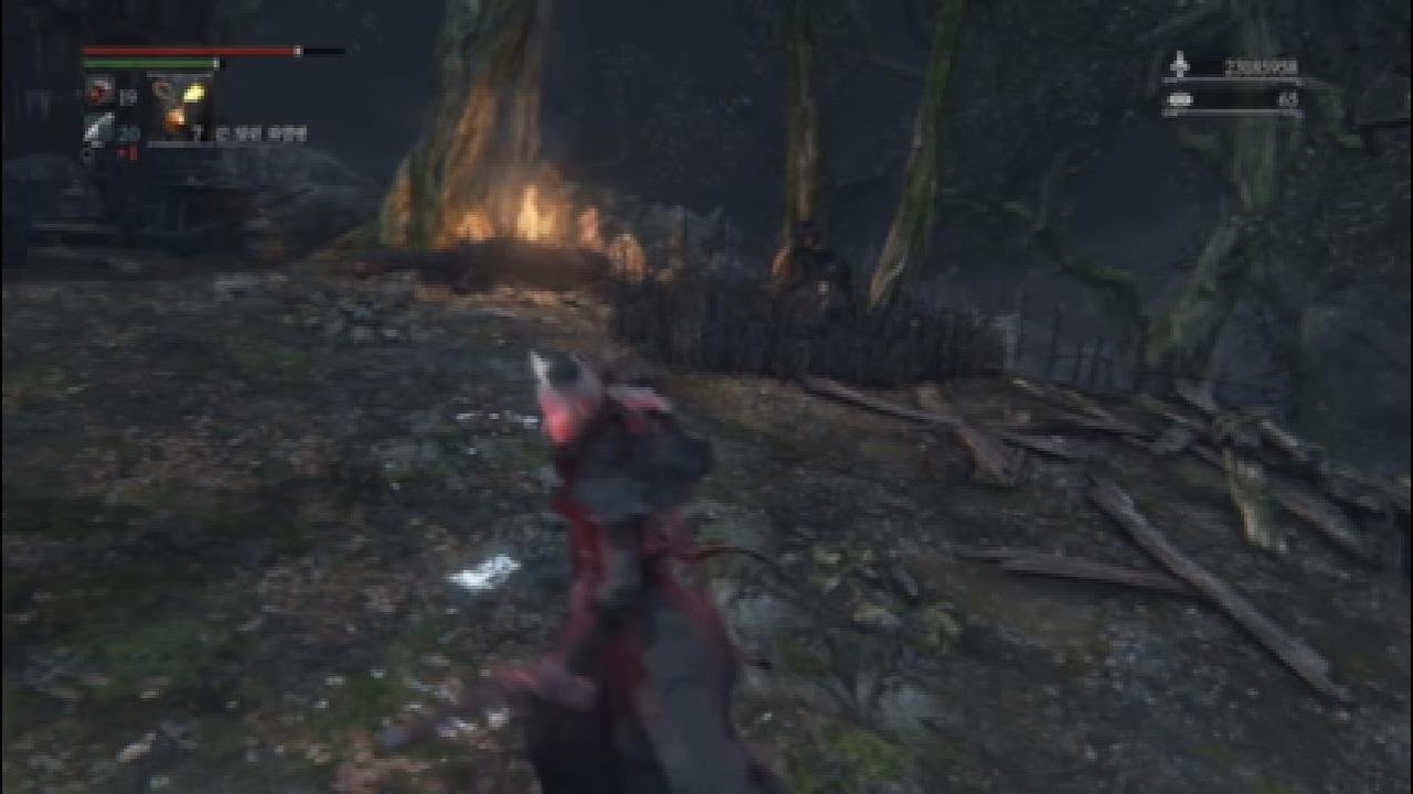 Bloodborne lv.48 근신캐 금숲 침입.20240108