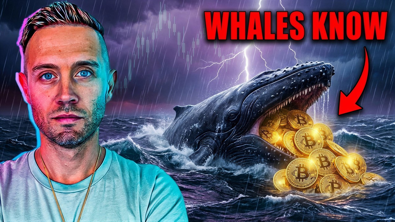 Bitcoin такого ещё никогда не делал. | Криптокиты скупают его так, словно что-то знают