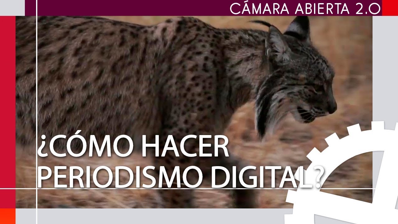 Periodismo digital | C&aacute;mara abierta 2.0