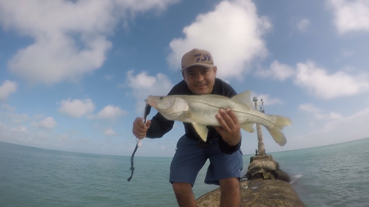 Pesca de Robalos en el Cuyo Yucatan 2019 (fishing snook in yucatan)
