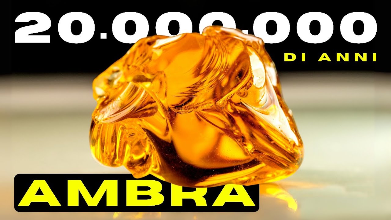 AMBRA, Gemma Nata da UN ALBERO 20 Milioni di Anni fa | Lineagem / Gemme / Pietre Preziose