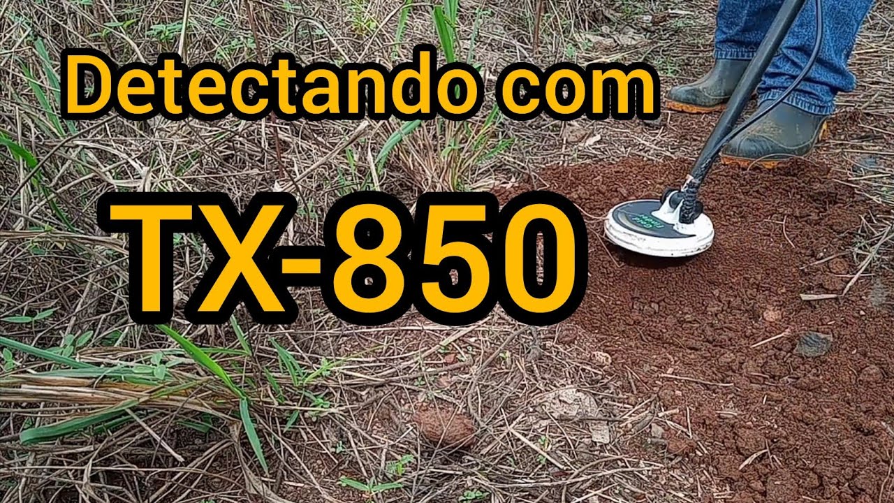 Se está mata falasse com certeza teria muita história cabulosa.